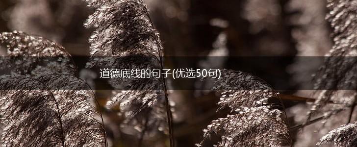 道德底线的句子(优选50句),第1张