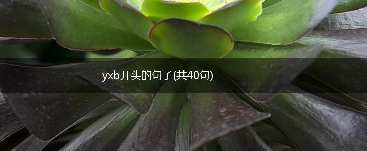 yxb开头的句子(共40句),第1张