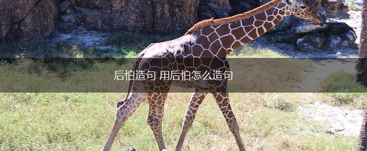 后怕造句 用后怕怎么造句,第1张