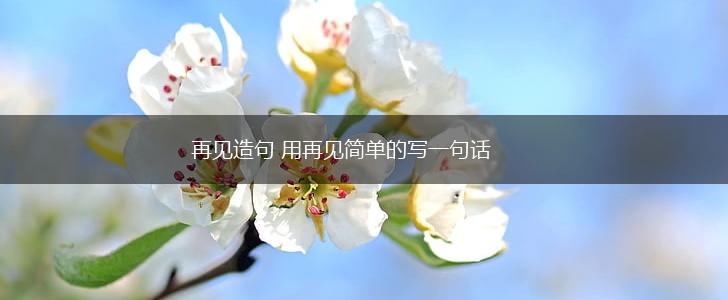 再见造句 用再见简单的写一句话,第1张