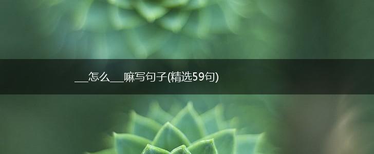 ___怎么___嘛写句子(精选59句),第1张