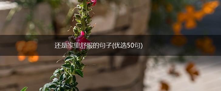 还是家里舒服的句子(优选50句),第1张