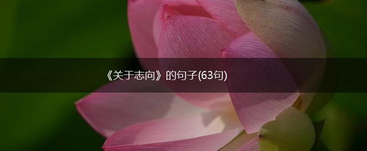 《关于志向》的句子(63句),第1张