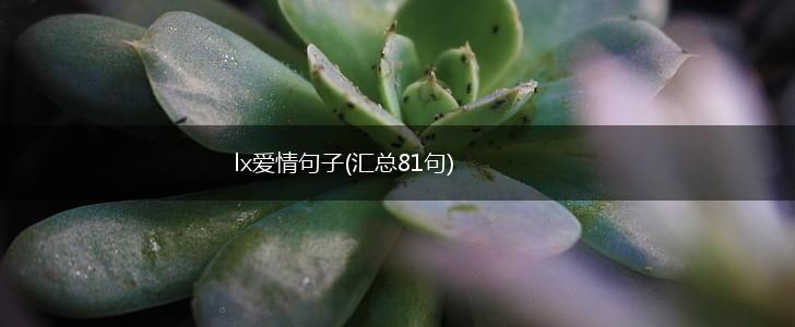 lx爱情句子(汇总81句),第1张