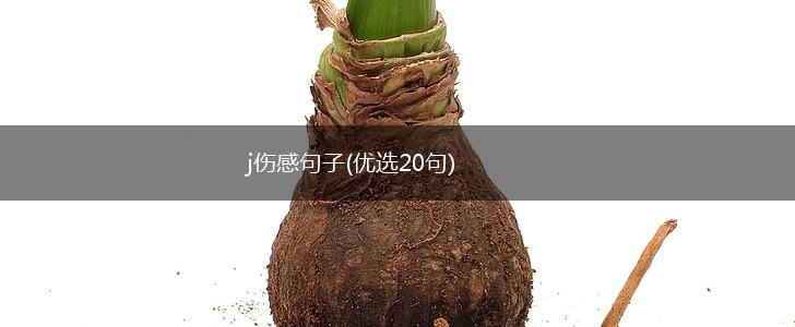 j伤感句子(优选20句),第1张
