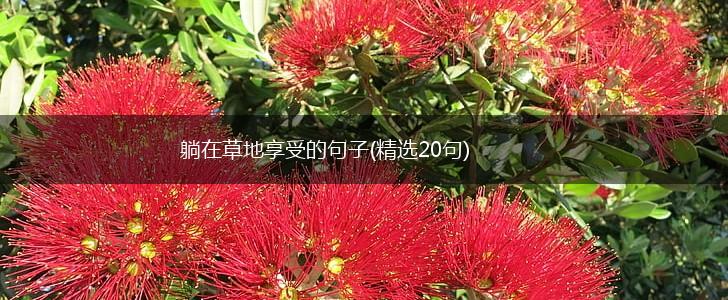 躺在草地享受的句子(精选20句),第1张