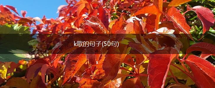 k歌的句子(50句),第1张