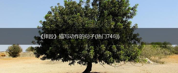 《摔跤》描写动作的句子(热门74句),第1张