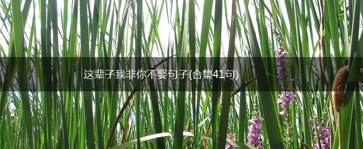 这辈子我非你不娶句子(合集41句),第1张