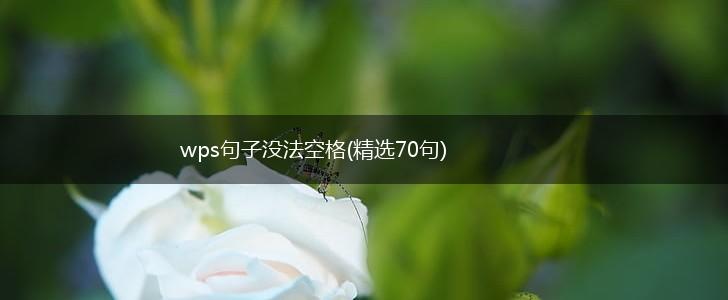 wps句子没法空格(精选70句),第1张