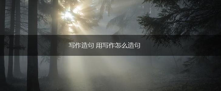 写作造句 用写作怎么造句,第1张