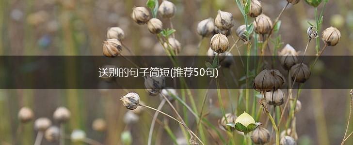 送别的句子简短(推荐50句),第1张