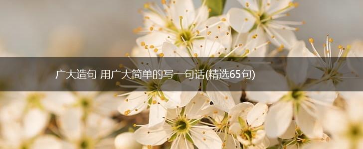 广大造句 用广大简单的写一句话(精选65句),第1张