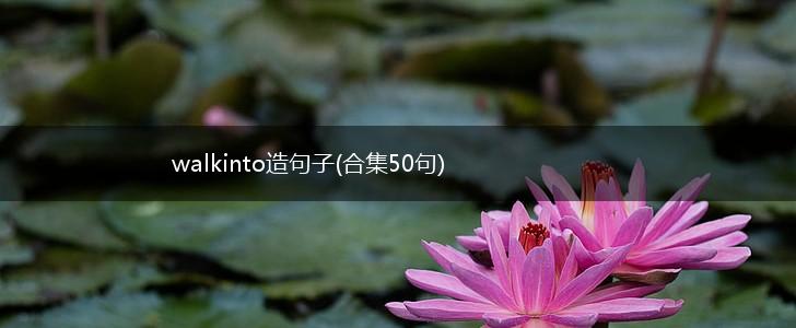 walkinto造句子(合集50句),第1张