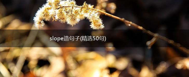 slope造句子(精选50句),第1张