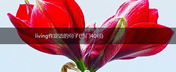 living作定语的句子(热门40句),第1张 living作定语的句子(热门40句),第1张
