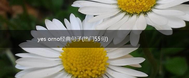 yes orno经典句子(热门55句),第1张