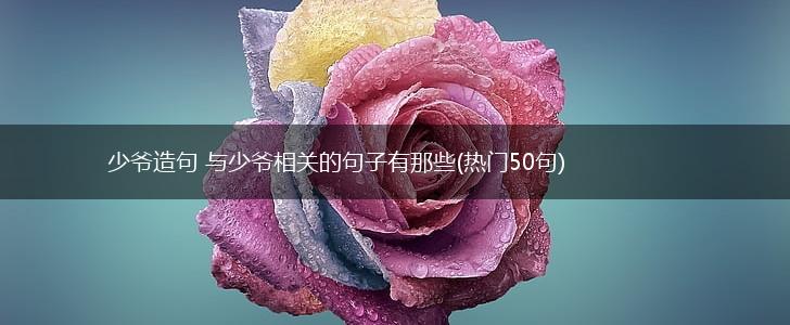 少爷造句 与少爷相关的句子有那些(热门50句),第1张