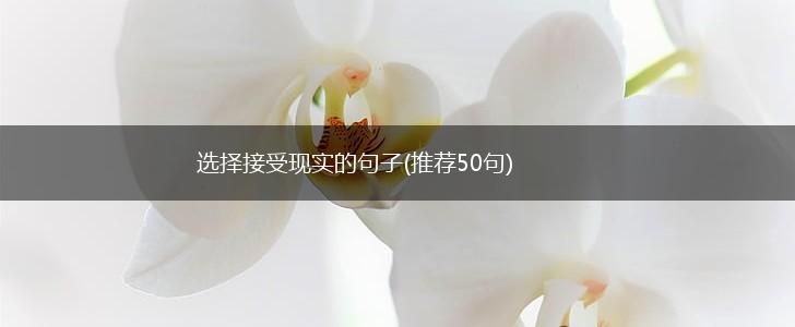 选择接受现实的句子(推荐50句),第1张