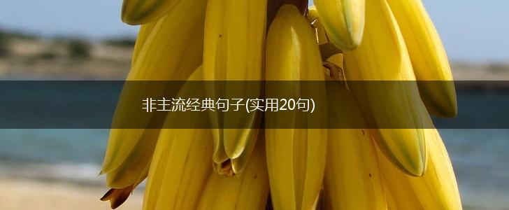 非主流经典句子(实用20句),第1张