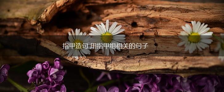 指甲造句 用指甲组相关的句子,第1张