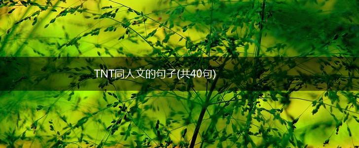 TNT同人文的句子(共40句),第1张