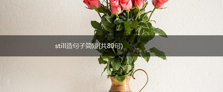 still造句子简短(共80句),第1张