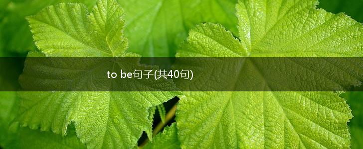 to be句子(共40句),第1张