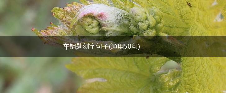 车钥匙刻字句子(通用50句),第1张
