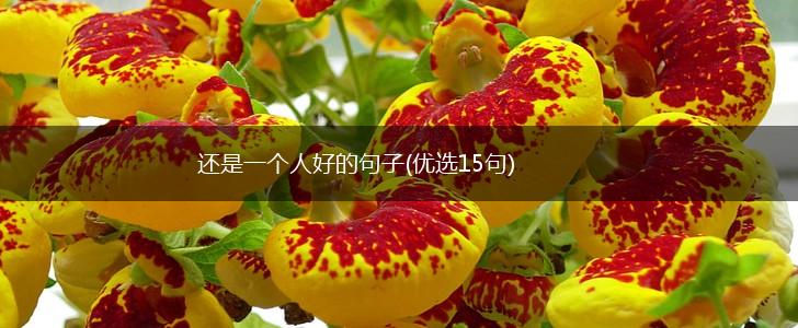 还是一个人好的句子(优选15句),第1张