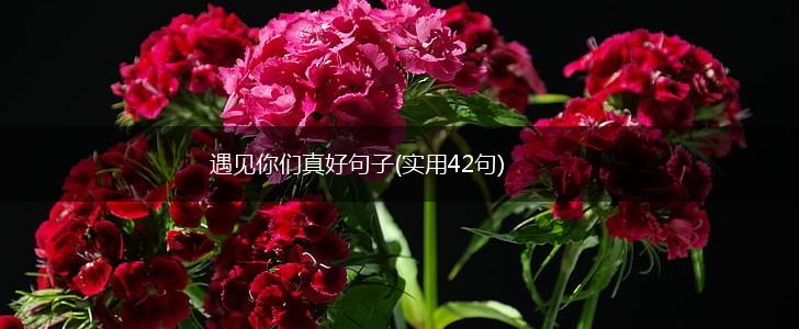 遇见你们真好句子(实用42句),第1张