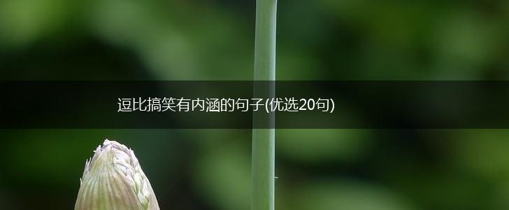 逗比搞笑有内涵的句子(优选20句),第1张