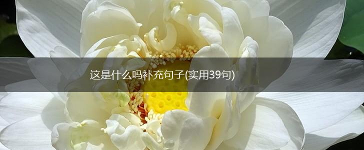 这是什么吗补充句子(实用39句),第1张