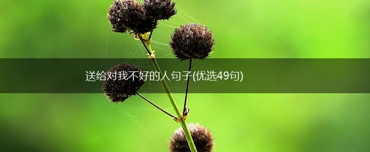 送给对我不好的人句子(优选49句),第1张