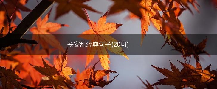 长安乱经典句子(20句),第1张