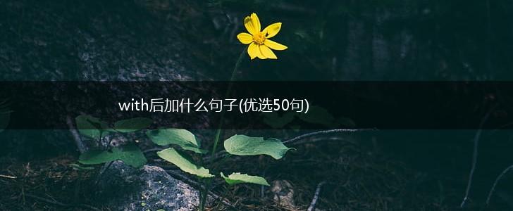 with后加什么句子(优选50句),第1张
