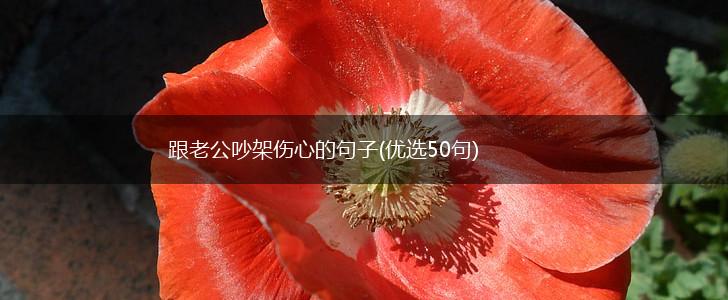 跟老公吵架伤心的句子(优选50句),第1张