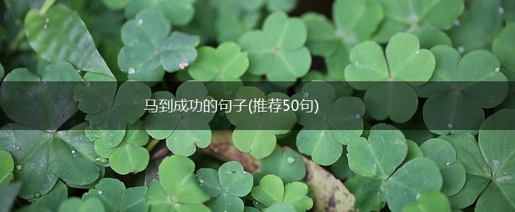 马到成功的句子(推荐50句),第1张