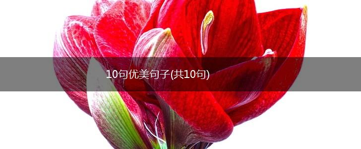 10句优美句子(共10句),第1张