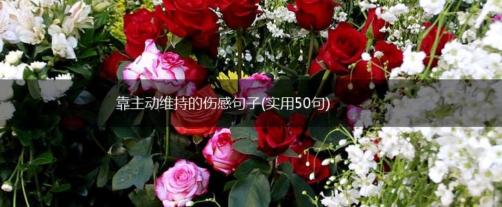 靠主动维持的伤感句子(实用50句),第1张