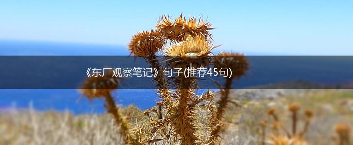 《东厂观察笔记》句子(推荐45句),第1张