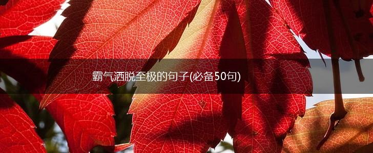 霸气洒脱至极的句子(必备50句),第1张