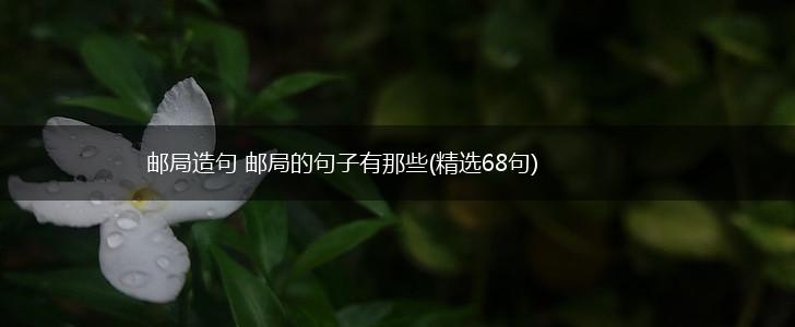 邮局造句 邮局的句子有那些(精选68句),第1张