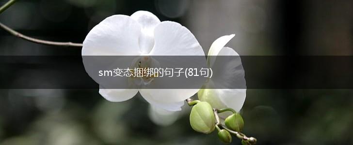 sm变态捆绑的句子(81句),第1张