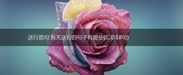 送行造句 有关送行的句子有那些(汇总58句),第1张