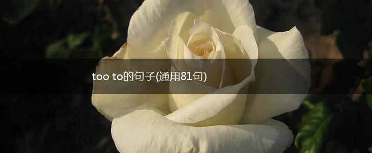 too to的句子(通用81句),第1张