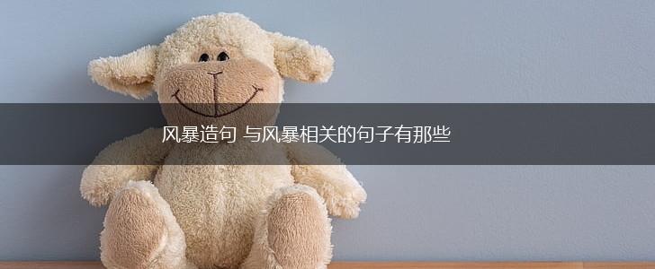 风暴造句 与风暴相关的句子有那些,第1张