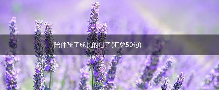 陪伴孩子成长的句子(汇总50句),第1张