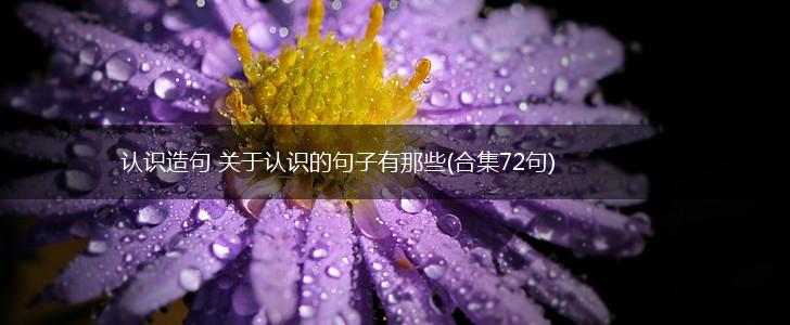 认识造句 关于认识的句子有那些(合集72句),第1张