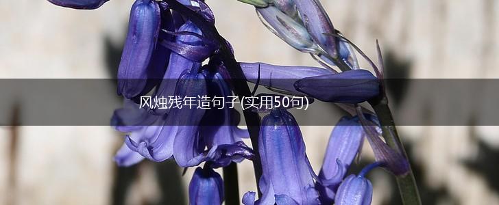 风烛残年造句子(实用50句),第1张